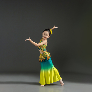 儿童傣族舞蹈演出服装表演服练功鱼尾裙女成人剧目考级艺考孔雀舞
