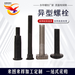 CNC精密数控车铣特殊螺丝冷镦热打非标螺栓定制加工各种异型件