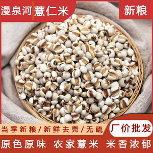 薏仁米薏米五谷杂粮粗粮红豆薏仁水赤小豆薏苡仁泡水泡茶