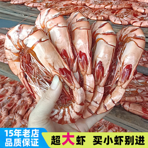 九节虾干烤虾干即食特大号500g干虾海鲜干货日晒对虾海虾加热零食