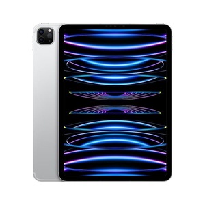 Apple/苹果 11 英寸 iPad Pro (第四代)平板电脑2021款2022款