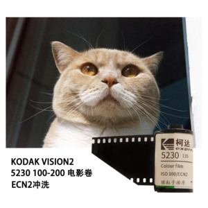 拍一卷少一卷系列 柯达5230绝版电影卷 VISION2  ISO100 135彩色