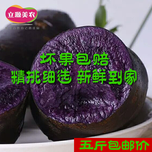 立源美农黑土豆紫心大土豆马铃薯新鲜蔬菜乌洋芋可做种子五斤包邮