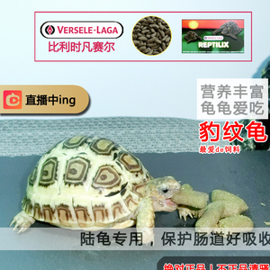 凡赛尔龟粮豹纹龟苗活物宠物龟饲料象龟巨型陆龟乌龟苏卡达赫曼龟