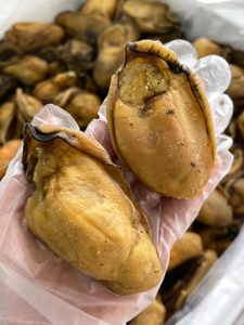 湛江特产20头金蚝500g特级牡蛎干海蛎不抽油海鲜生晒生蚝水产干货