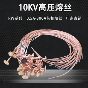 10KV高压熔丝T型带扣熔丝200A150A120A100A80A75A60A50A40A30
