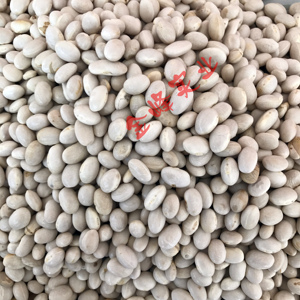 贵州黔西南兴义普安特产家乡味大小红黑绿白珍珠金豆26元两斤包