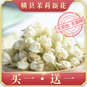 茉莉花茶2024新花苞茶茉莉花干花泡茶孕妇广西横县特茉莉鲜花干级