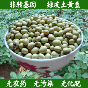 广西河池都安农家自种绿皮黄豆 非转基因大豆 豆腐豆浆专用黄豆
