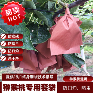 猕猴桃专用套袋水果包装袋四川苍溪产地通用果袋防虫防水防灼烧袋