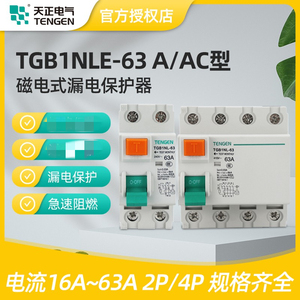 天正TGB1NL-63电磁式漏电保护器2P 4P 32A 40A 63A漏电开关A/AC型