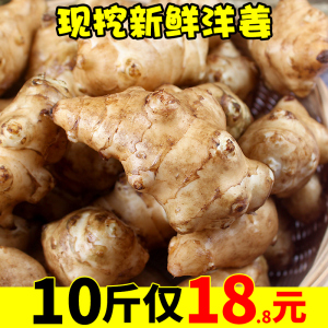 新鲜菊芋 新鲜菊芋品牌 价格 阿里巴巴
