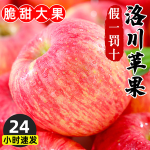 现摘陕西洛川苹果9斤脆甜红富士整箱当季新鲜水果大礼盒冰糖心丑