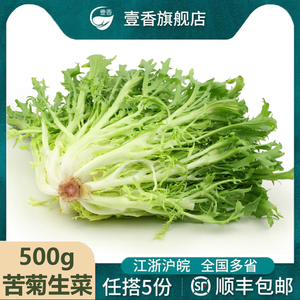 壹香 苦菊500g 苦细叶 苦叶生菜 苦苣菜西餐蔬菜沙拉食材轻食蔬菜