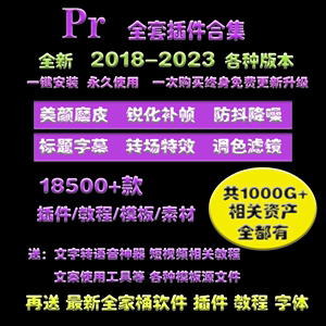 Pr2023新插件合集全套软件转场汉化 psAE预设全家桶教程 win/mac