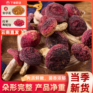 云南精选特级新鲜一级红菇干货500g野生无硫营养菌菇煲汤食材特产