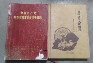 夏津历史文化概览、中国共产党山东省夏津县组织史资料