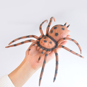 大号软胶蜘蛛玩具昆虫模型仿真动物儿童教学标本男孩玩偶软橡胶