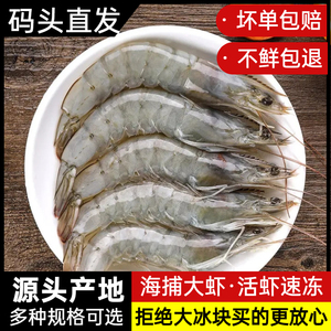 新鲜海捕大虾鲜活速冻大对虾活虾青虾明虾海虾冷冻海鲜水产无冰坨