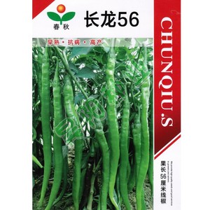 韩国引进长龙56超长线椒辣椒种子高产早熟香辣蔬菜种籽春秋四季种