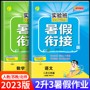 实验班暑假衔接二升三小学二年级暑假作业语文数学全套人教版RJ苏教版SJ北师大BS译林 2升3升学提优训练作业练习册专项训练