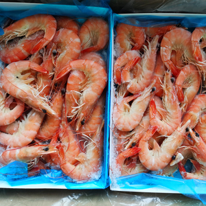 南美白虾8斤熟冻香虾白灼虾商用熟虾海鲜水产食材基围虾大白对虾