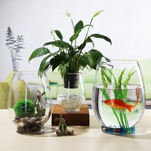 透明玻璃绿萝水培花瓶金斗鱼缸龙蛋形瓶子富贵竹水养植物花盆摆件