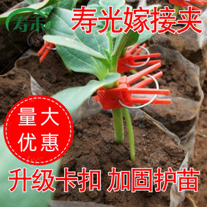 寿光蔬菜通用嫁接夹黄瓜番茄西瓜苗专用塑料瓜苗植物小夹子工具