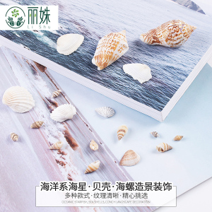 丽姝DIY手工海星贝壳海螺海洋系滴胶挂件饰品材料鱼缸造景