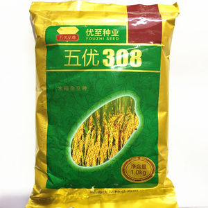 五优308 水稻杂交种子晚稻种子 谷种  1公斤