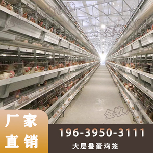 层叠蛋鸡笼设备 全自动多层养蛋鸡专用笼养鸡设备报价鸡笼价格表