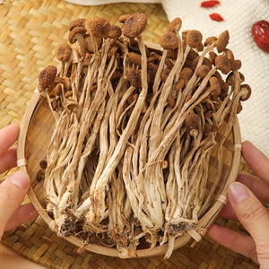 茶树菇干货特选级不开伞500g新鲜菌菇类煲汤养生食材福建土特产