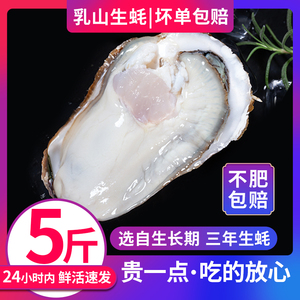 乳山生蚝鲜活5斤海鲜水产新鲜海蛎子带壳牡蛎超特大10斤顺丰包邮