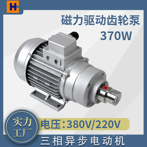 厂家直销电动抽油泵水泵小型220v喷灌机灌装计量微型磁力齿轮泵