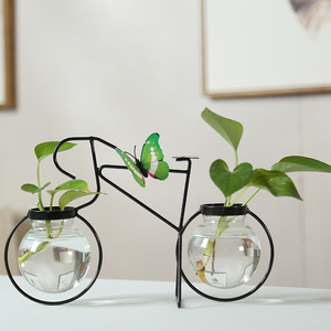 创意绿萝水培植物透明玻璃小花瓶客厅装饰品铁艺水养插花器皿摆件