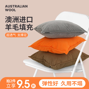 澳洲羊毛抱枕沙发抱枕芯客厅轻奢高级感大靠背垫办公护腰床头靠垫