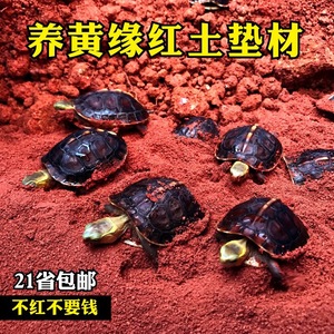 养龟天然细沙红土黄缘安缘陆龟垫材腐殖土红泥无菌土乌龟冬眠产蛋