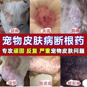 夏天宠物湿疹膏猫狗癣皮肤病脂溢性皮炎湿疹驱虫专用止痒无毒