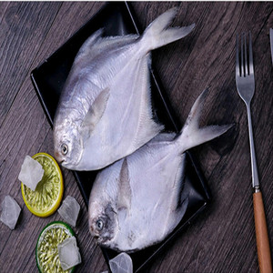 白鲳鱼6斤约18条新鲜冷冻野生小鲳鱼银鲳鱼 烧烤平鱼扁鱼海鲜水产