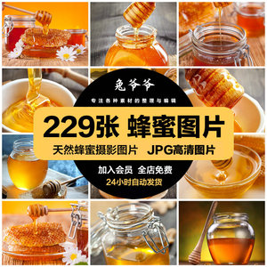 高清美食菜品菜谱JPG图片蜂蜜蜂王浆美工设计喷绘打印合成素材