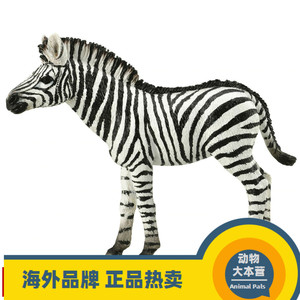 2019款英国CollectA仿真草原非洲野生动物模型玩具88850小斑马