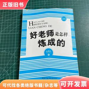 中国基础教育文库--好老师是怎样炼成的 段惠民 著