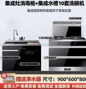 日本集成水槽12套洗碗机不锈钢或黑色纳米水槽一体水触媒超声清洗