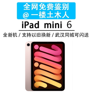 Apple/苹果 iPad mini 5  6  wifi版平板电脑 一楼土木人mini6