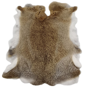 特价兔皮整张獭兔毛布料獭兔皮护膝护腰坐垫垫子兔子皮真兔毛皮料