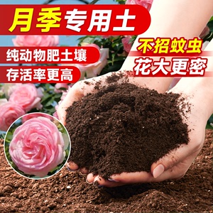 月季专用土月季花土营养土养花通用泥炭土家用盆栽花卉蔷薇专用肥