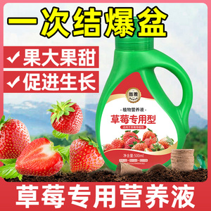 草莓肥料专用肥结果增甜营养液草莓种植专用营养土促花保果结果多