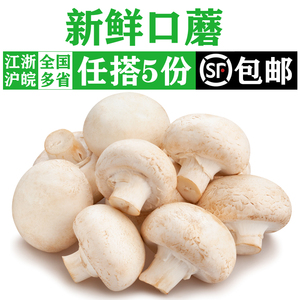 新鲜蘑菇250g 口蘑 食用菌菇口菇菌菇双孢菇 煲汤火锅炒菜蔬菜