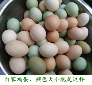 江西农家散养土鸡蛋 新鲜草鸡蛋 新鲜土鸡蛋20枚近区包邮