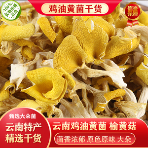 鸡油菌干货云南特产榆黄蘑新鲜黄丝菌蘑菇营养菌菇黄菇鸡油黄500g